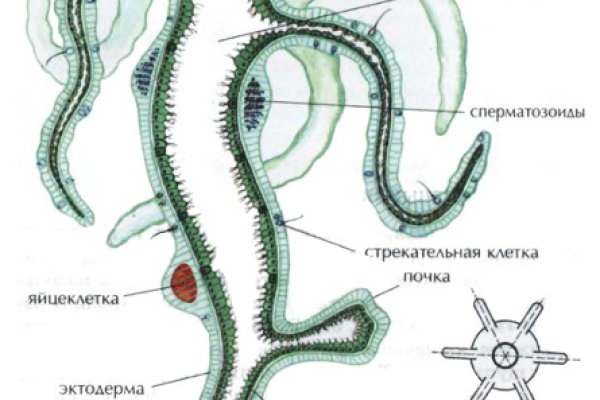 Где найти ссылку кракен